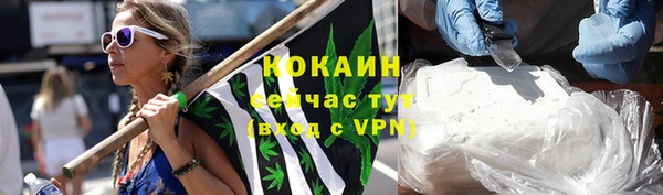 2c-b Горно-Алтайск