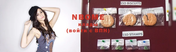 2c-b Горно-Алтайск