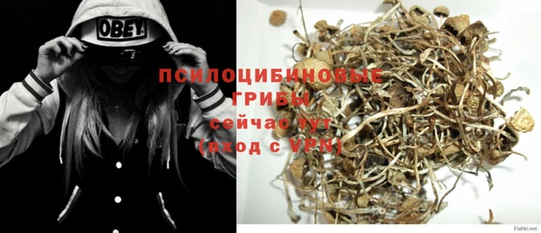 бутират Горняк