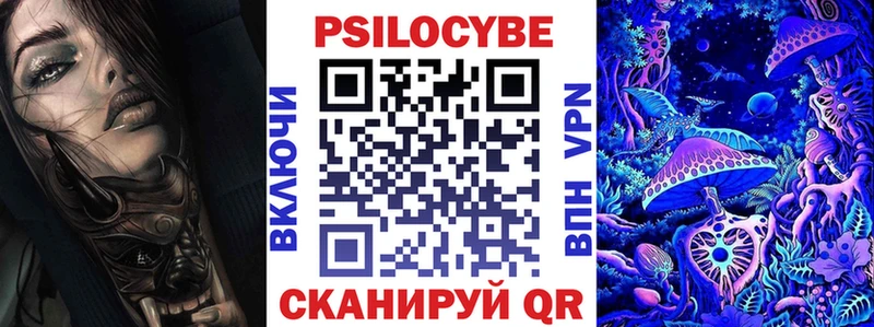 Галлюциногенные грибы Psilocybe  shop какой сайт  Пустошка 